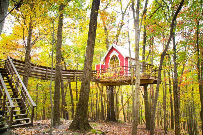 Get Your Glamping On This Fall With These Unique Ideas!