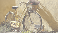 Dusting off Your Old Bike? Read This First.
