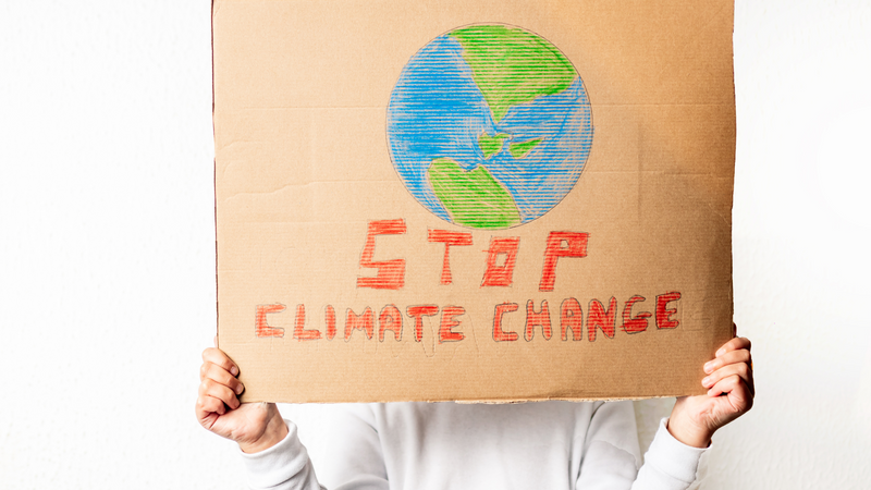 Electric Transport Alone Will Not Get Us to Climate Targets