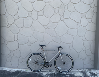 The Difference In A Loco Fixie