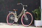 Loco City Cruiser Step-Thru - The Pink Dulce