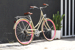 Loco City Cruiser Step-Thru - The Pink Dulce